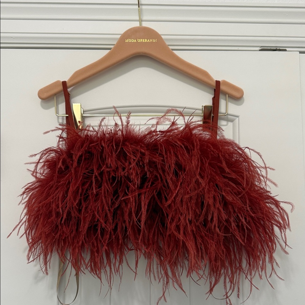 Andres Otalora Prisma Etereo Feathered Cotton Top